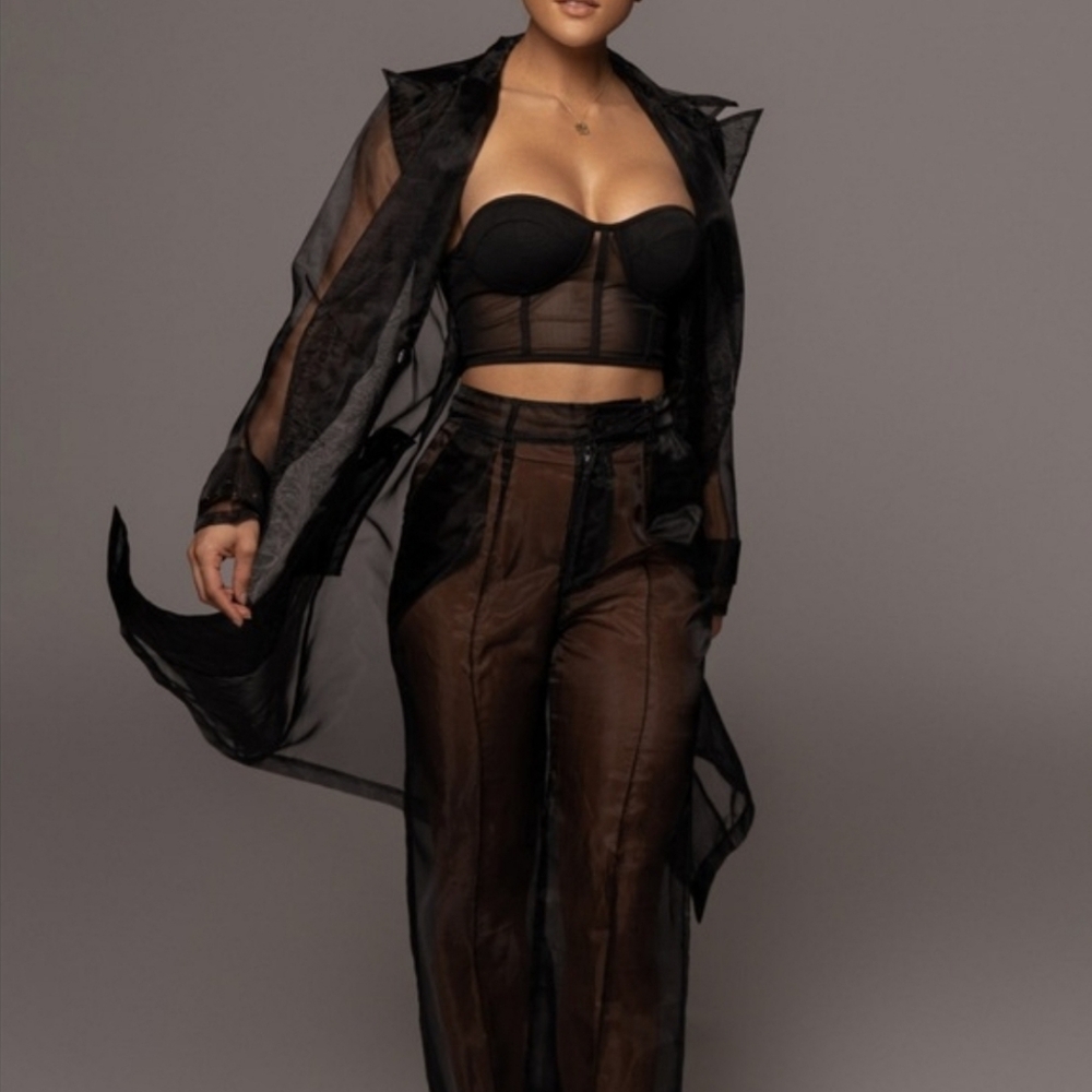 JLUXLABEL | Black Cornwell Sheer Coat Organza Jacket Size M - Picture 3 of 14